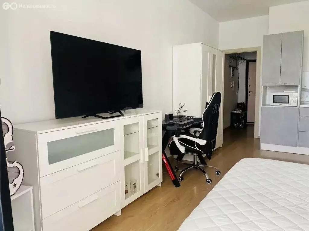 Квартира-студия: Санкт-Петербург, Арцеуловская аллея, 23к1 (28.5 м) - Фото 1
