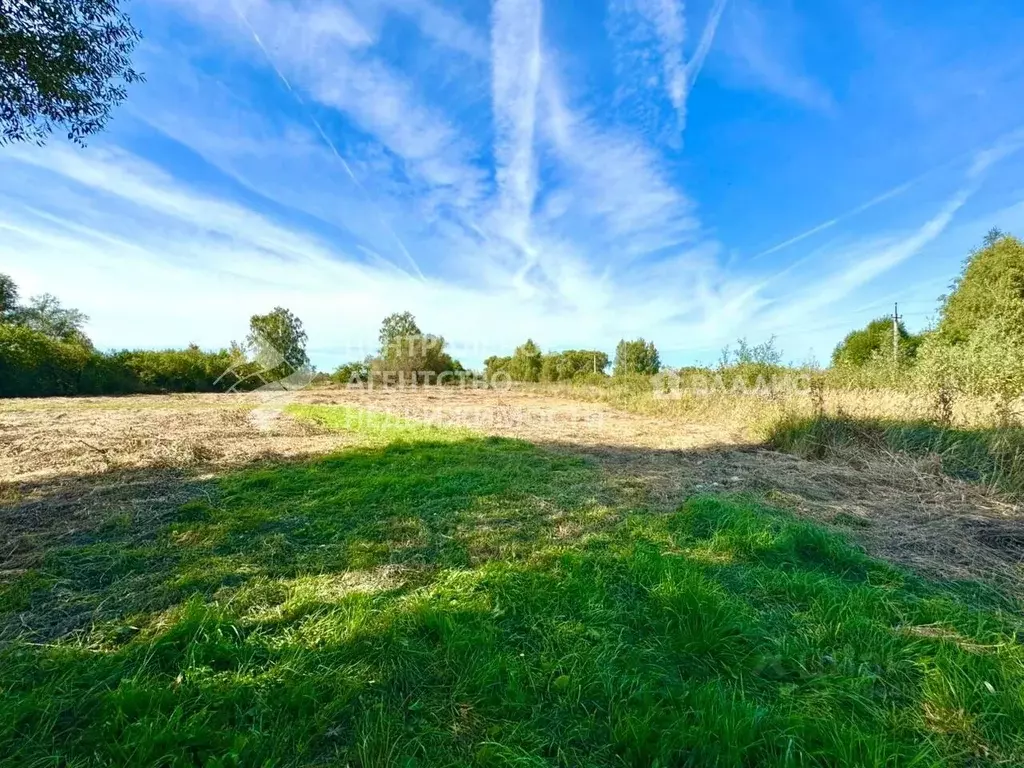 Участок в Рязанская область, Спасский район, Панинское с/пос, с. ... - Фото 1