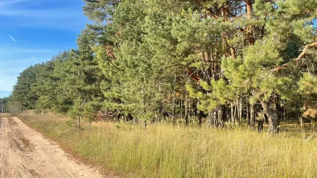 Участок в Тверская область, Конаковский муниципальный округ, д. Шоша ... - Фото 1