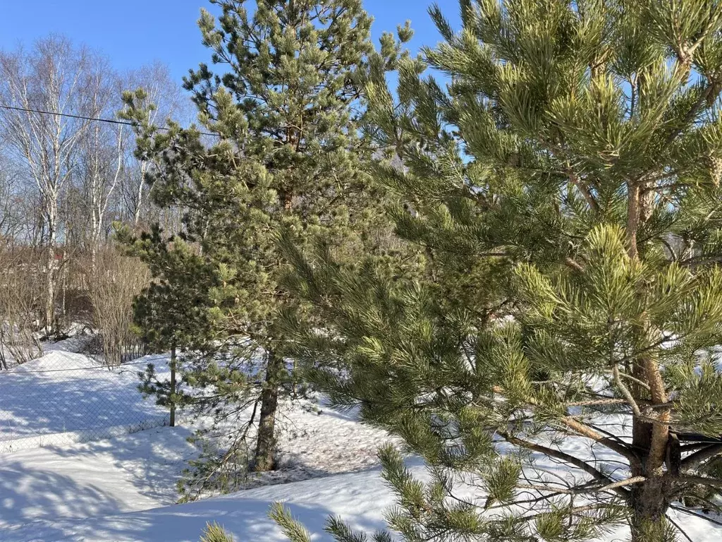 Участок в Владимирская область, Александровский муниципальный округ, ... - Фото 1