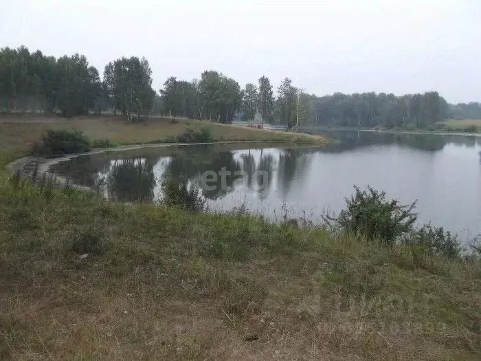 Участок в Новосибирская область, Искитимский район, Степной сельсовет, ... - Фото 2