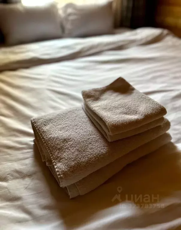 Дом в Нижегородская область, Нижний Новгород ул. Нестерова (50 м) - Фото 2