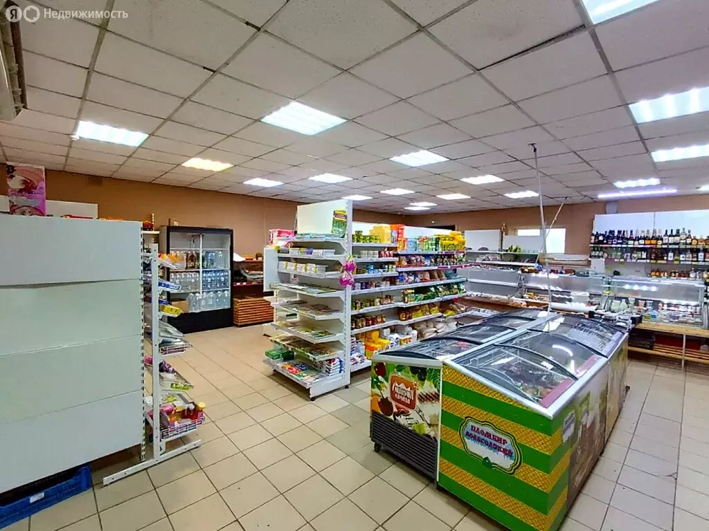 Помещение свободного назначения (102 м) - Фото 1