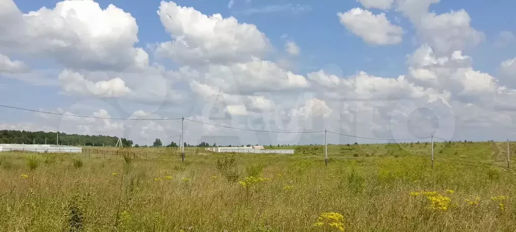 Участок 12 сот. (ИЖС) - Фото 0