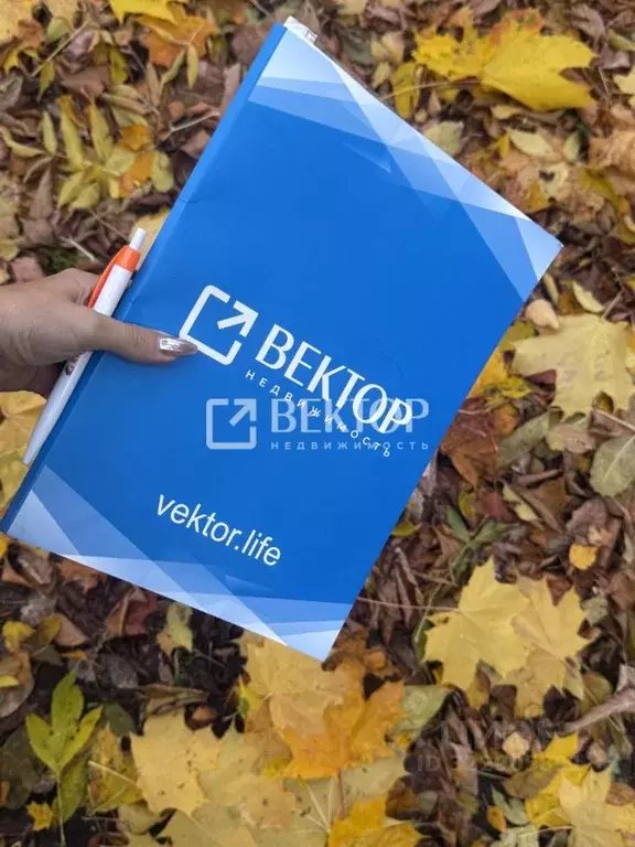 Участок в Костромская область, Нерехтский район, Волжское с/пос, д. ... - Фото 1