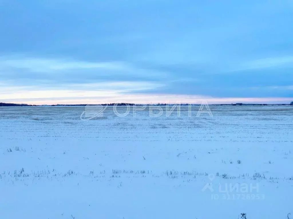 Участок в Тюменская область, Тюменский район, д. Якуши  (350.0 сот.) - Фото 0