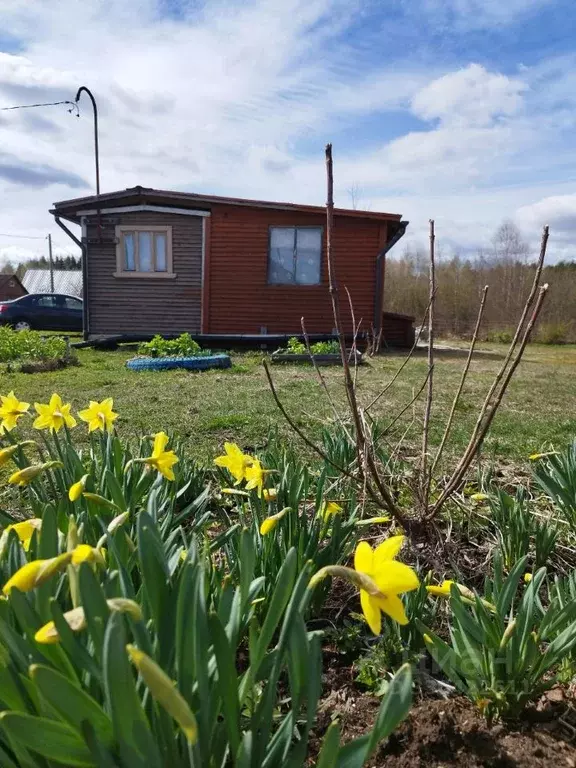 Дом в Ленинградская область, Тихвинское городское поселение, ... - Фото 2