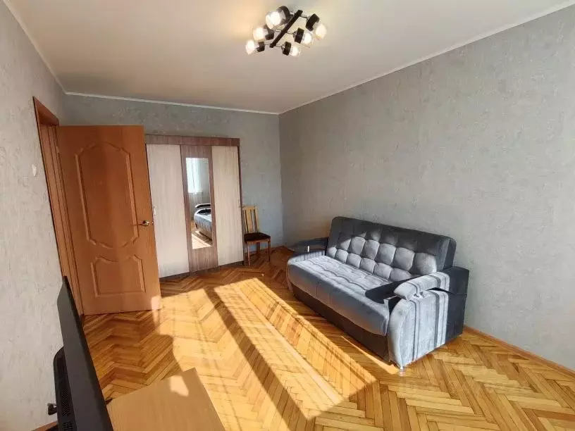 1-к кв. Санкт-Петербург Альпийский пер., 16 (29.0 м) - Фото 1