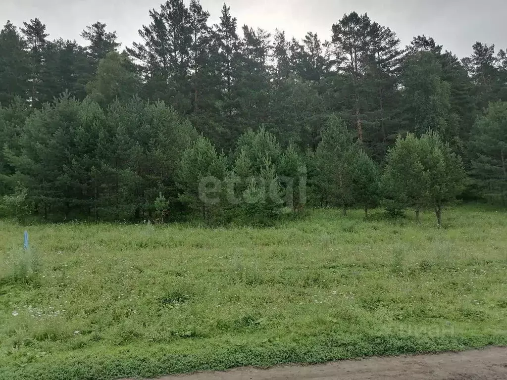 Участок в Алтай, Чемальский район, Узнезинское с/пос, с. Узнезя  (26.8 ... - Фото 1