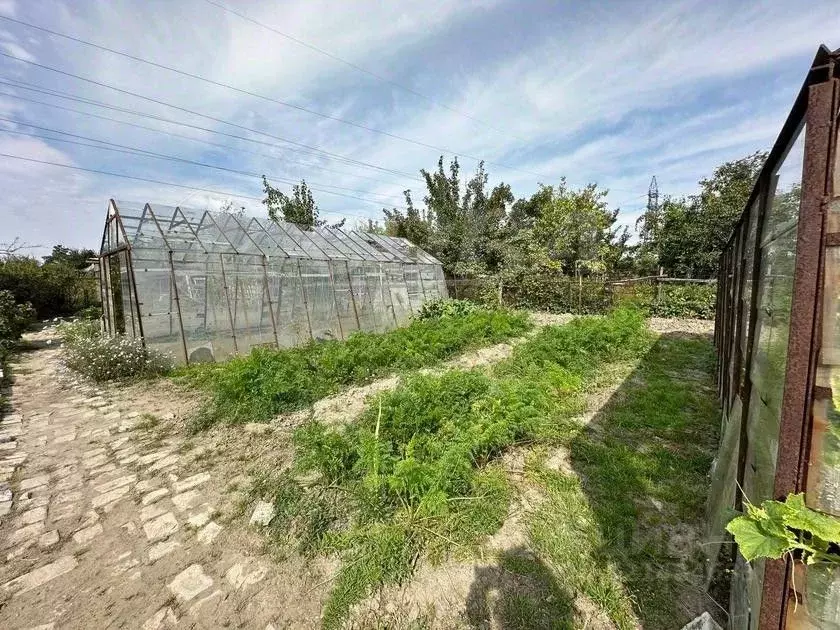 Дом в Курганская область, Курган Кедр СНТ, 65 (25 м) - Фото 2