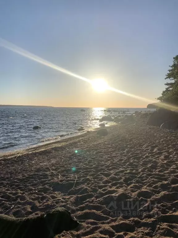 Дом в Ленинградская область, Выборгский район, Приморское городское ... - Фото 1