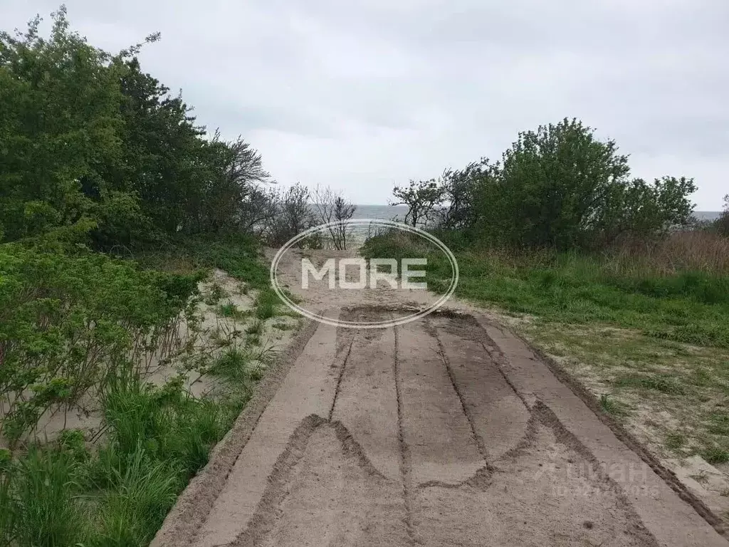 Участок в Калининградская область, Зеленоградский муниципальный округ, ... - Фото 1