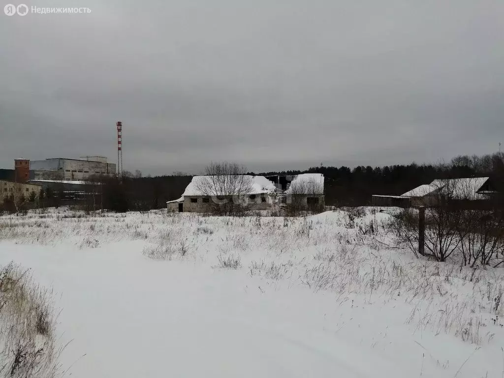 Участок в Вологодская область, рабочий посёлок Чагода (85.8 м) - Фото 0