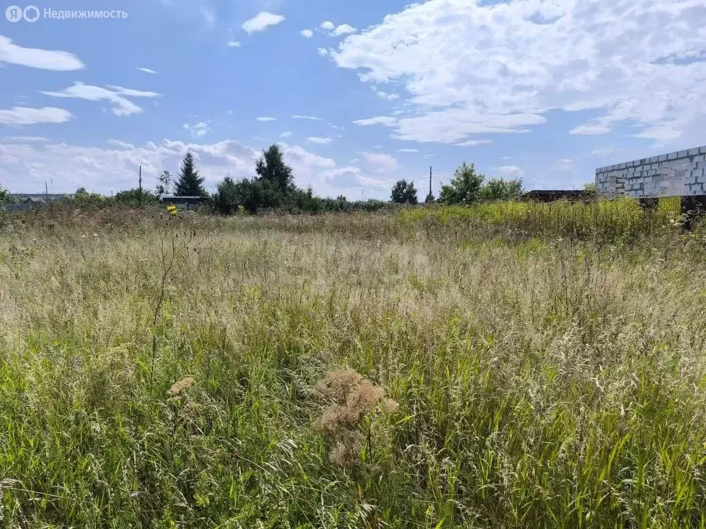 Участок в Приветная, СНТ Ветеран-4, 2-я аллея (6.16 м) - Фото 2