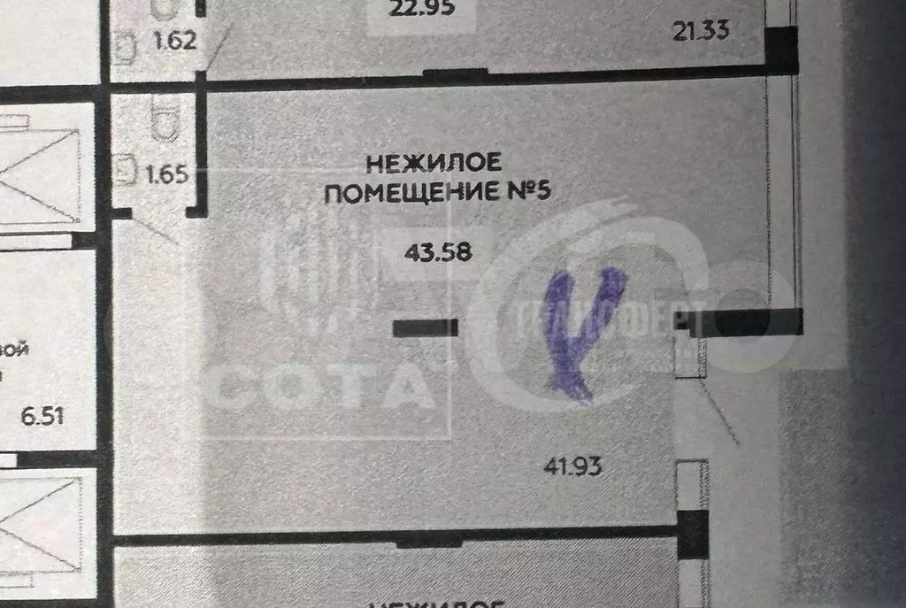 Сдам помещение свободного назначения, 43.58 м - Фото 0