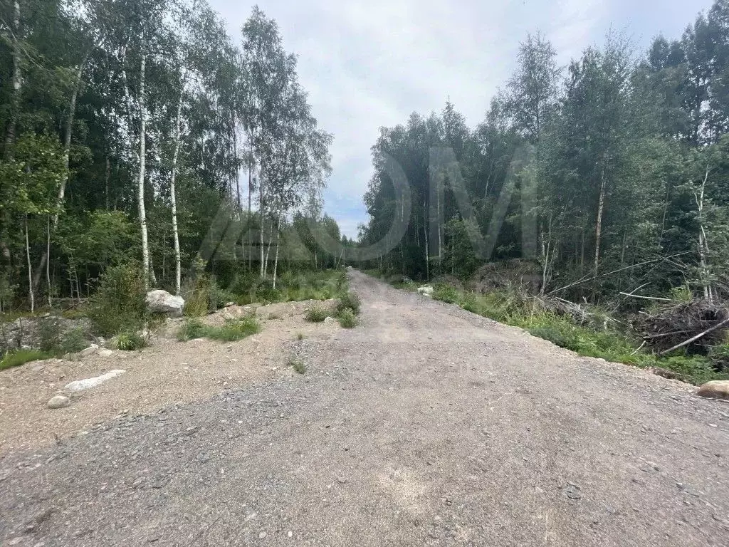 Участок в Ленинградская область, Приозерское городское поселение, пос. ... - Фото 0