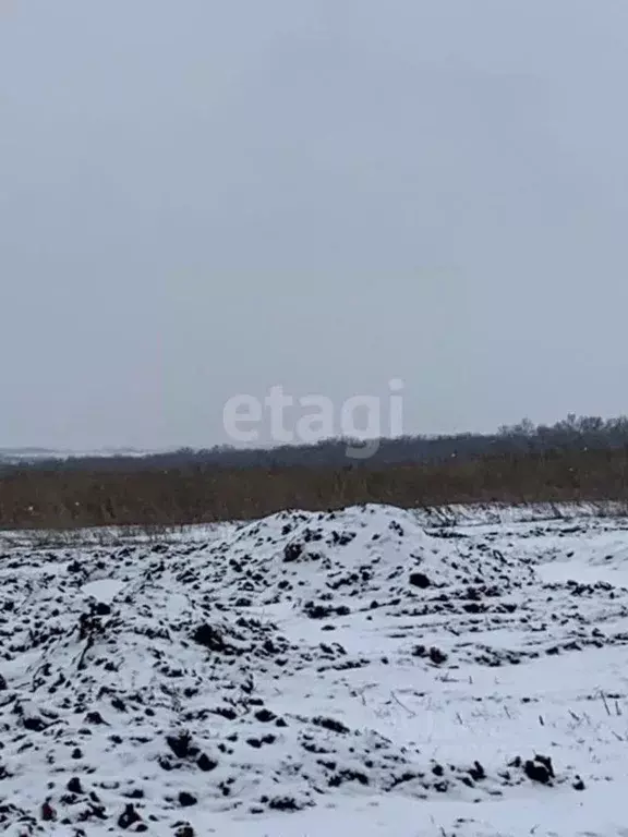 Участок в Белгородская область, Белгородский район, Головинское с/пос, ... - Фото 1