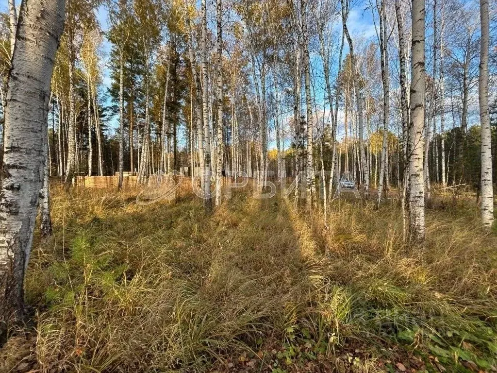Участок в Тюменская область, Тюменский муниципальный округ, Архитектор ... - Фото 2