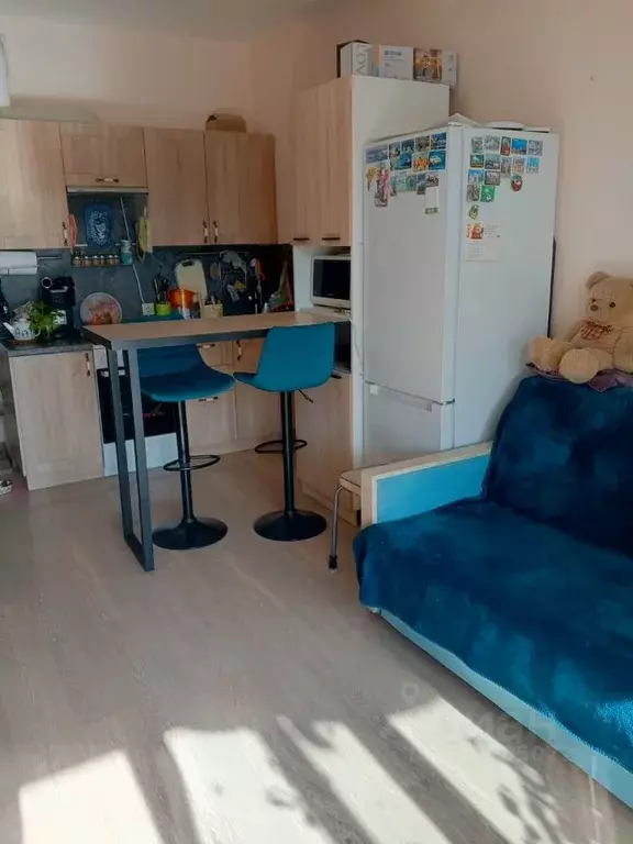 Студия Санкт-Петербург Союзный просп., 4 (23.5 м) - Фото 1