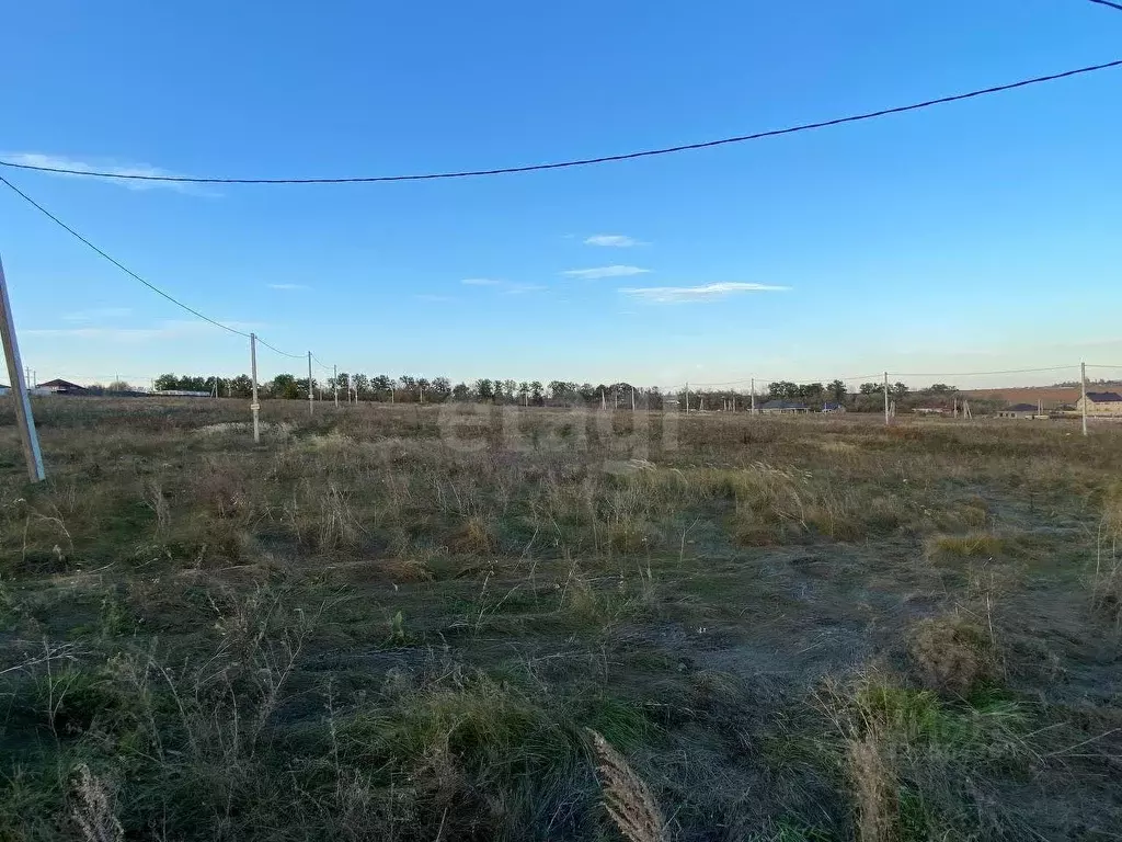 Участок в Воронежская область, Семилукский район, Губаревское с/пос, ... - Фото 2