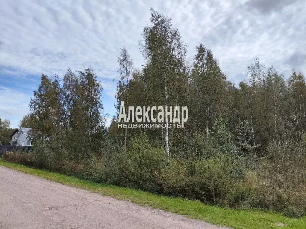 Участок в Ленинградская область, Выборгский район, Рощинское городское ... - Фото 1