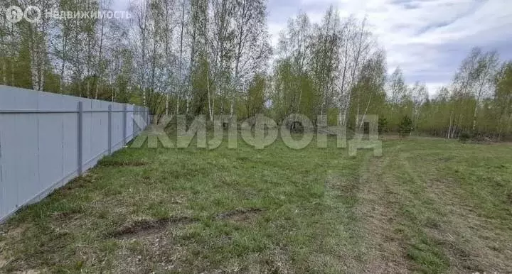 Участок в Искитимский район, Мичуринский сельсовет, дачное ... - Фото 1