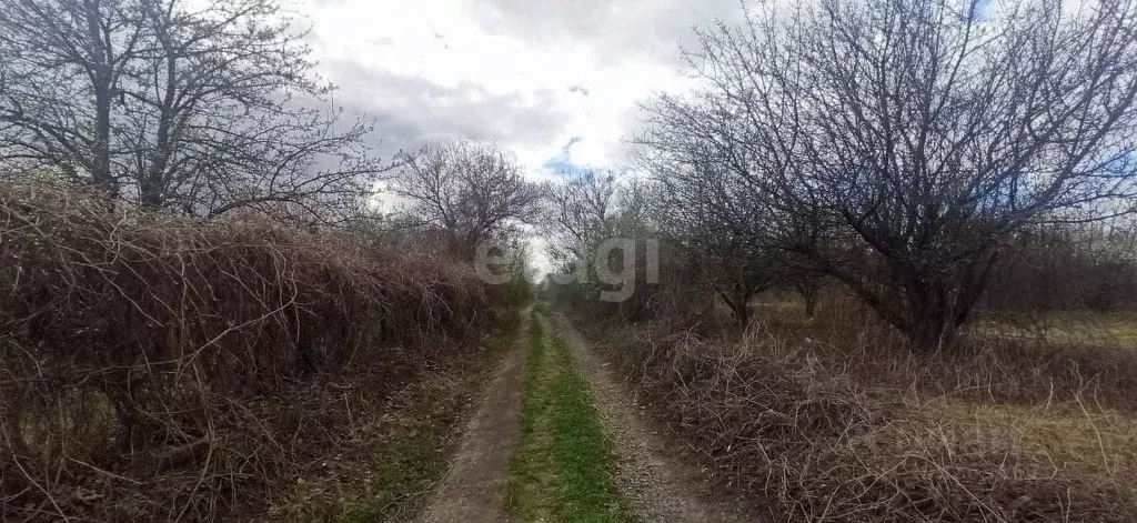 Участок в Белгородская область, Губкин Журавушка СТ,  (6.0 сот.) - Фото 1