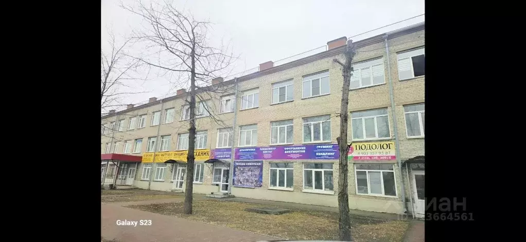 Офис в Алтайский край, Бийск ул. Петра Мерлина, 65 (18 м) - Фото 0