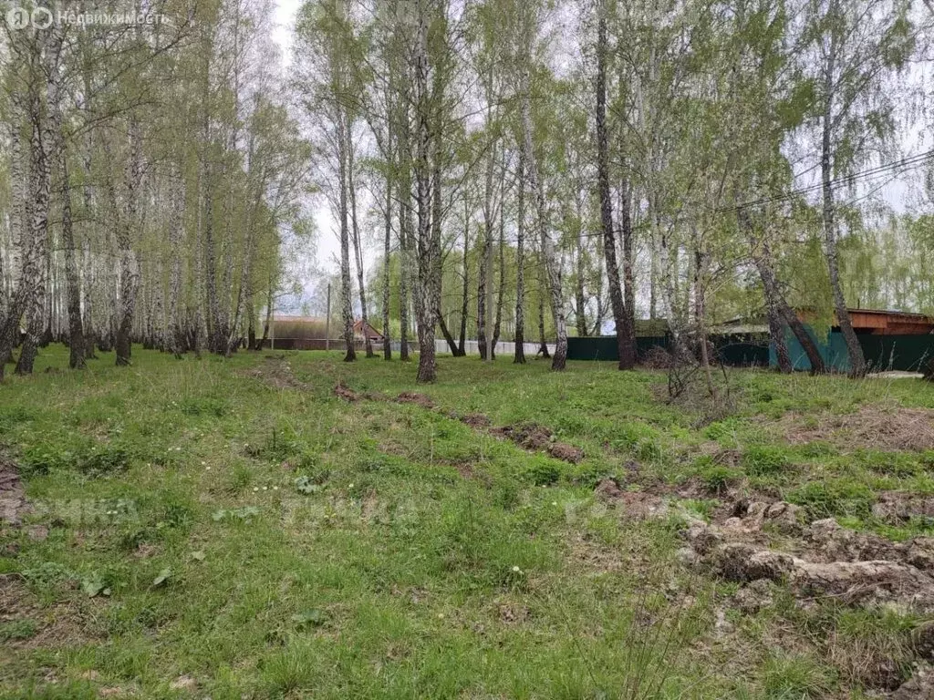 Участок в Непряхино, Восточная улица (1496 м) - Фото 2