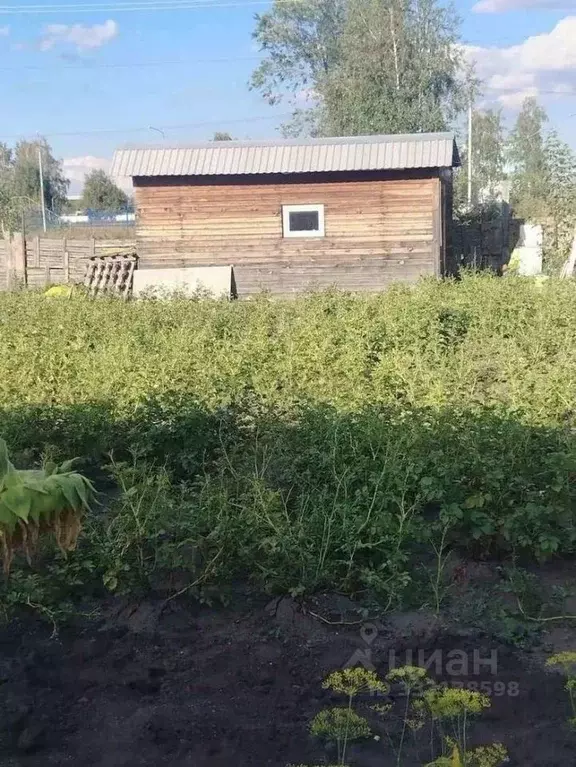 Участок в Алтайский край, Барнаул городской округ, с. Власиха ул. ... - Фото 1