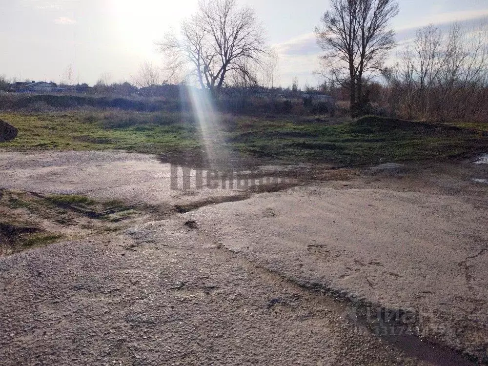 Участок в Волгоградская область, Среднеахтубинский район, Кировское ... - Фото 2