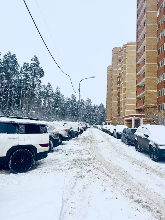 1-к кв. Московская область, Пушкино Лесная ул., 69к1 (42.0 м) - Фото 2