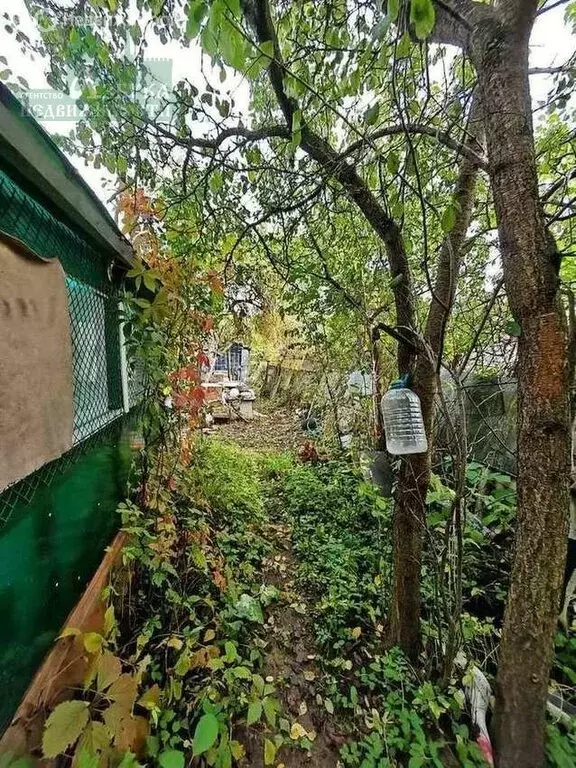 Участок в Смоленск, СНТ Дружба (6 м) - Фото 0