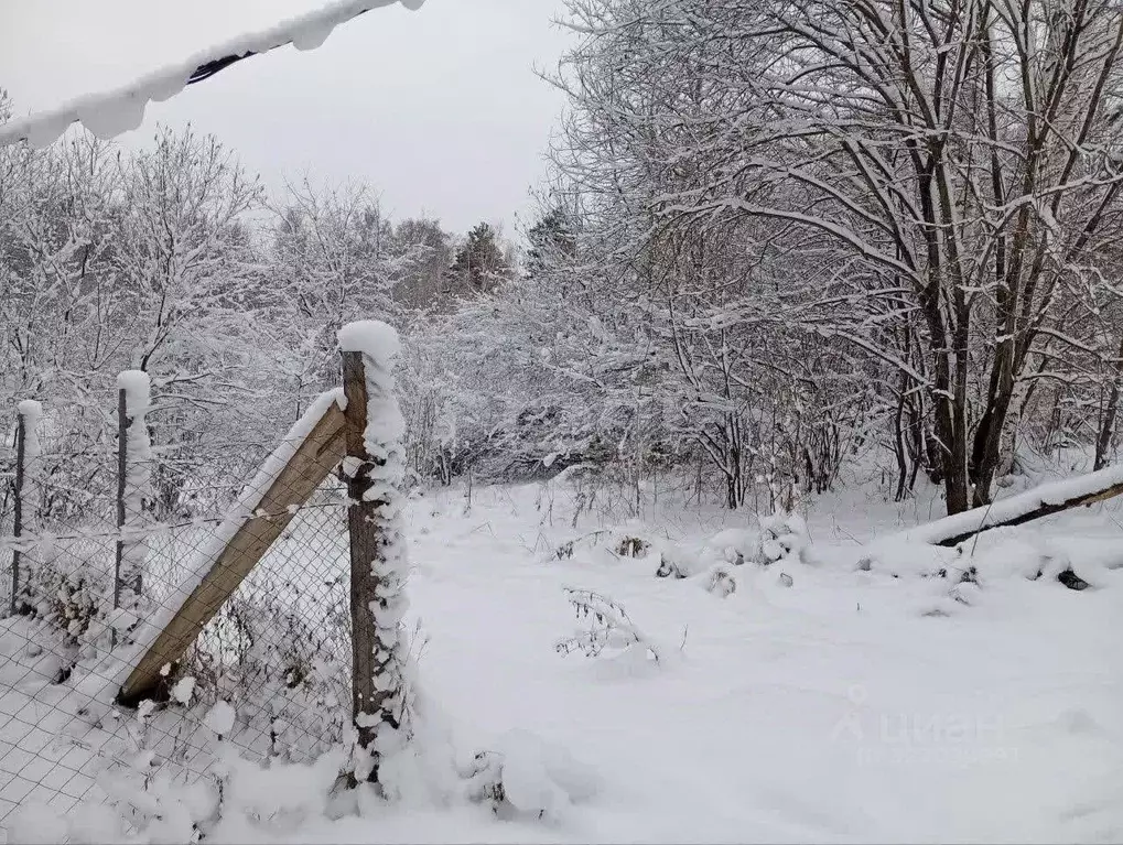 Участок в Алтай, Майминский район, с. Кызыл-Озек  (10.0 сот.) - Фото 1