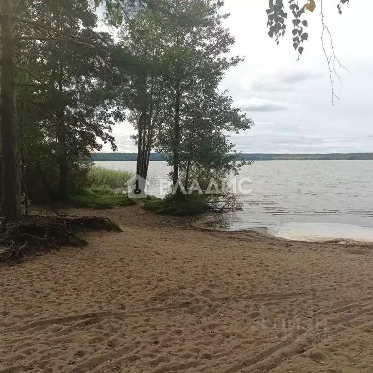 Участок в Ленинградская область, Всеволожский район, Куйвозовское ... - Фото 1