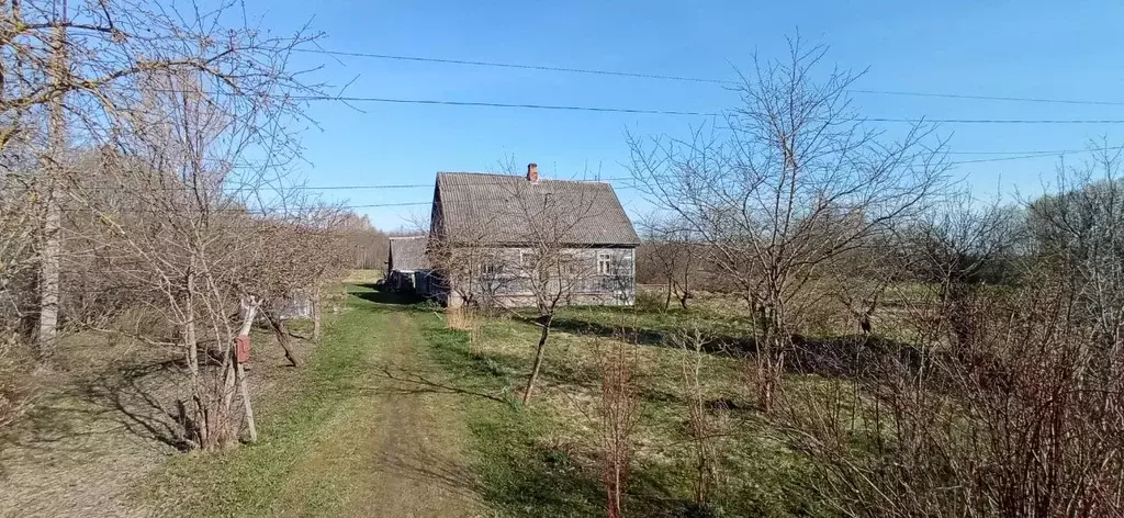 Дом в Псковская область, Пыталовский муниципальный округ, д. Гавры  ... - Фото 1