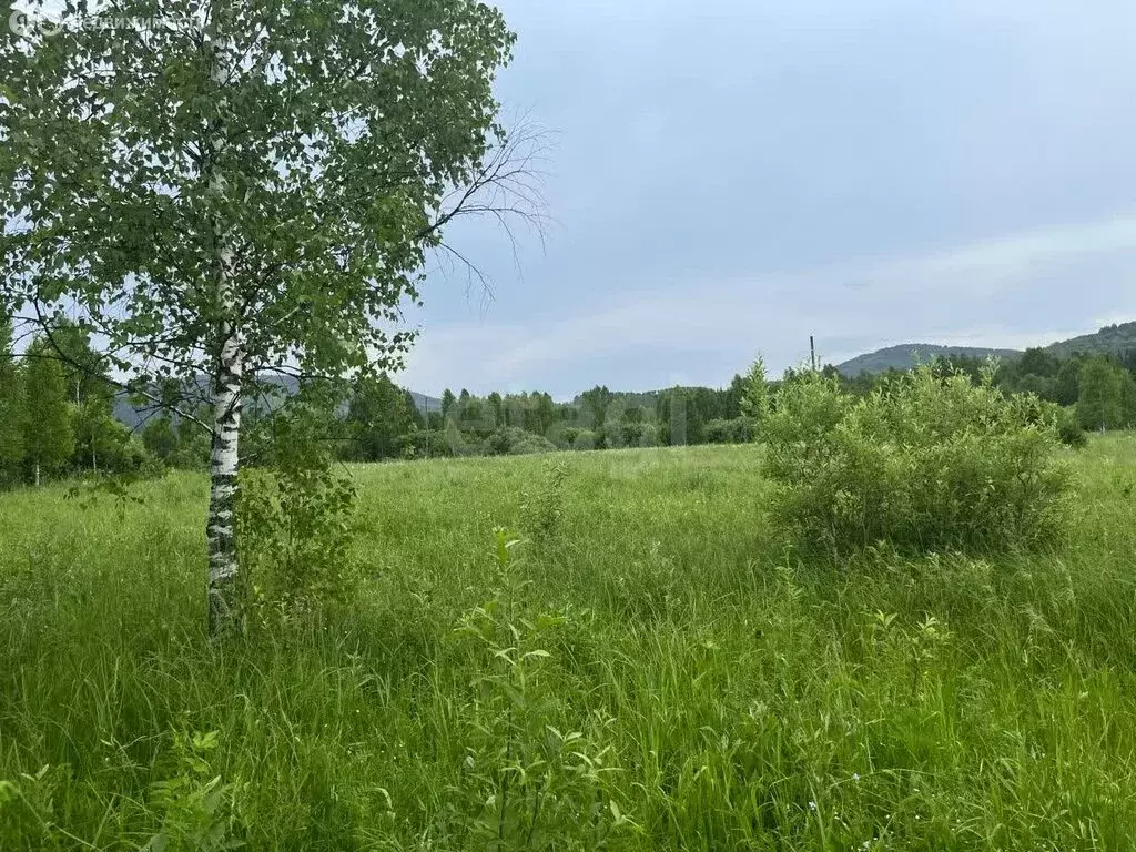 Участок в Майминский район, село Кызыл-Озек (10 м) - Фото 1
