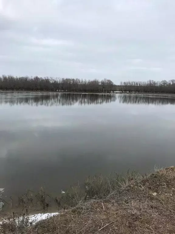 Участок в Астраханская область, Енотаевский район, Косикинский ... - Фото 2