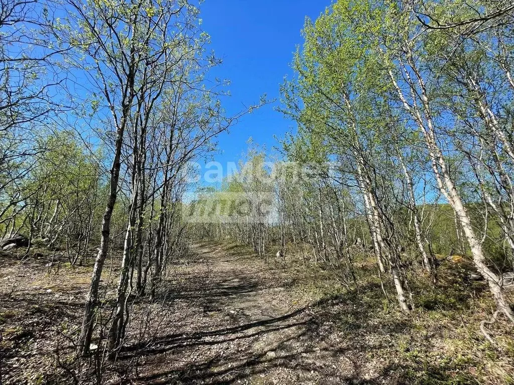 Участок в Мурманская область, Мурманск ул. Шевченко (15.0 сот.) - Фото 1