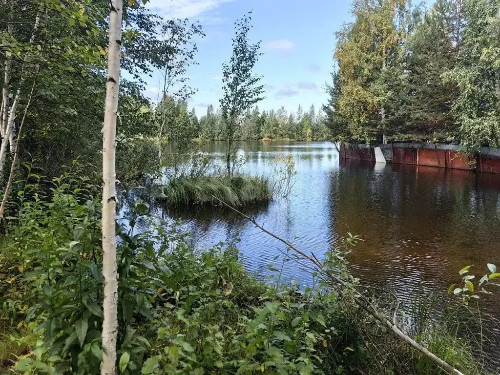 Участок в Ханты-Мансийский АО, Сургут № 45 Заречный СОТ,  (5.0 сот.) - Фото 0