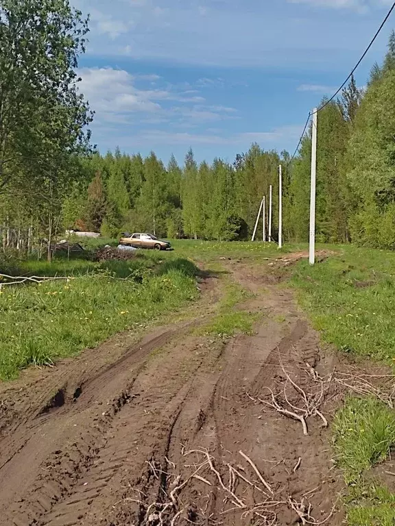 Участок в Новгородская область, Новгородский район, Ракомское с/пос, ... - Фото 1