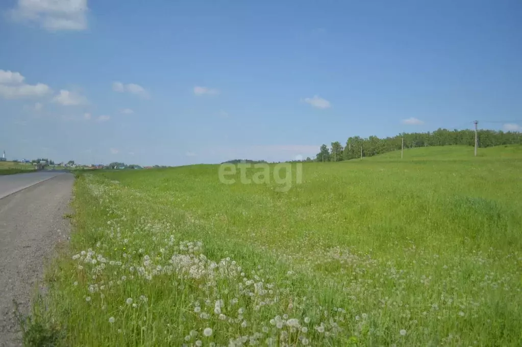 Участок в Кемеровская область, Прокопьевск Сафоново мкр,  (15.0 сот.) - Фото 0