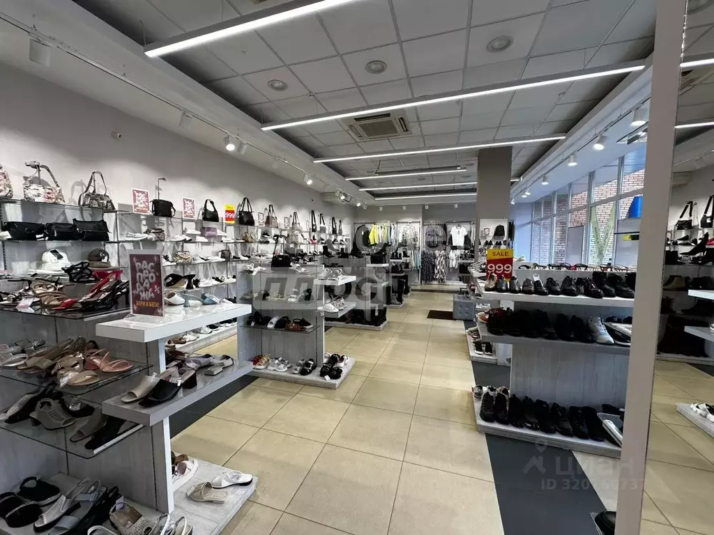 Торговая площадь в Московская область, Дубна просп. Боголюбова, 31 ... - Фото 2