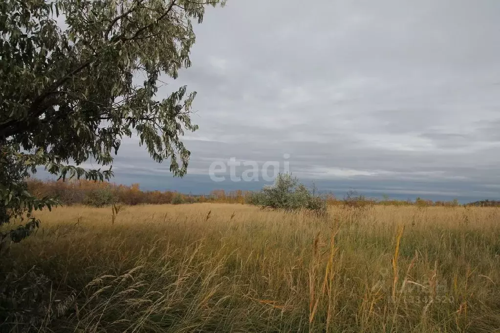 Участок в Ульяновская область, Новоульяновск городской округ, с. ... - Фото 1