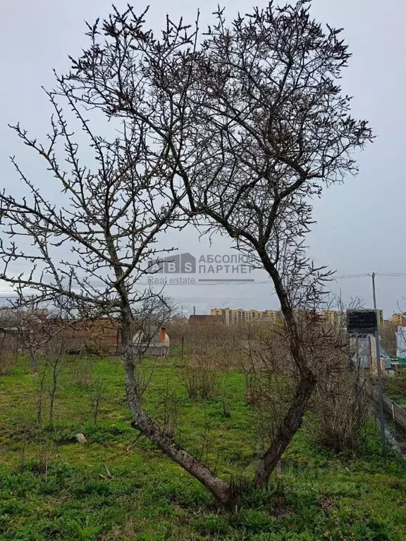 Участок в Новгородская область, Великий Новгород Кречевицы мкр, 200-й ... - Фото 1