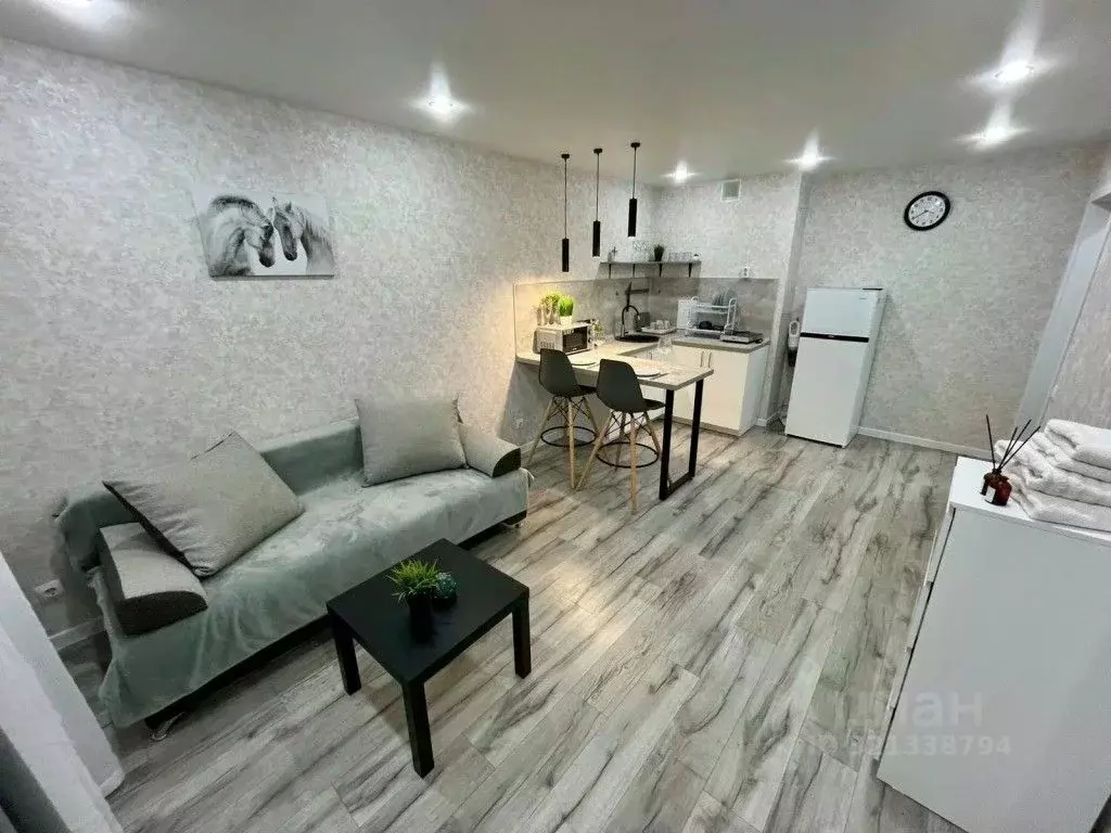 1-к кв. Краснодарский край, Анапа ул. Ленина, 235 (28.0 м) - Фото 2