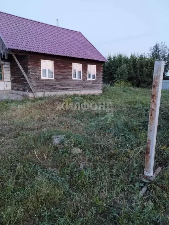 Дом в Новосибирская область, Новосибирский район, с. Толмачево ул. 60 ... - Фото 0