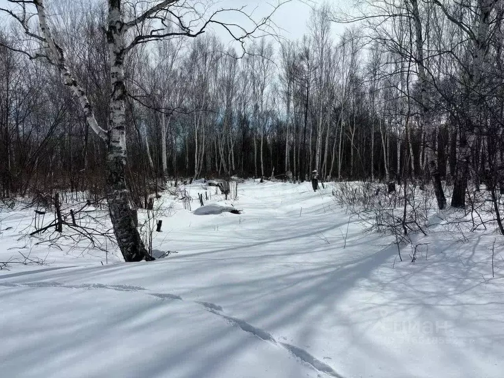 Участок в Хабаровский край, Комсомольск-на-Амуре  (10.0 сот.) - Фото 1