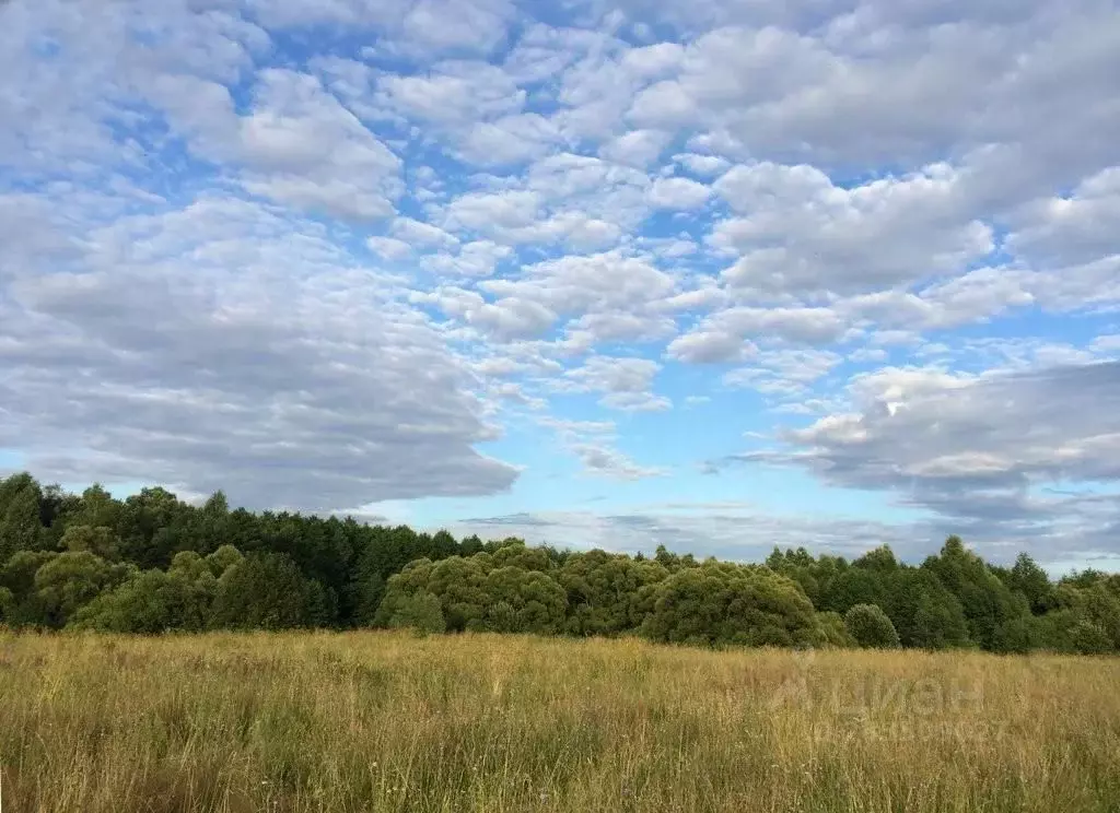 Участок в Рязанская область, Шиловский район, Тимошкинское с/пос  ... - Фото 2