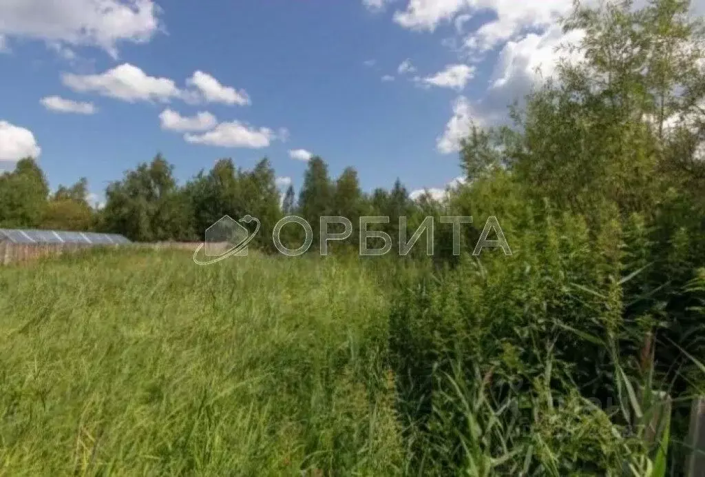 Участок в Тюменская область, Нижнетавдинский район, Строитель ТСН 786 ... - Фото 1